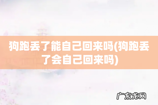 狗跑丢了会自己回来吗 狗跑丢了能自己回来吗