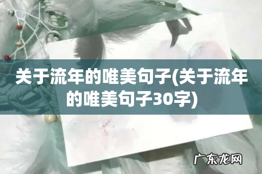 关于流年的唯美句子30字 关于流年的唯美句子