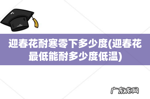 迎春花最低能耐多少度低温 迎春花耐寒零下多少度