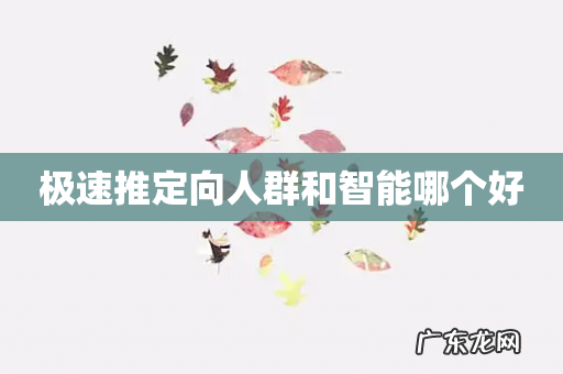 极速推定向人群和智能哪个好