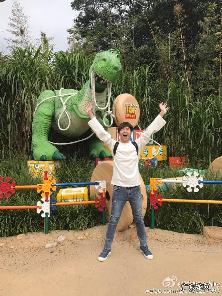 李英爱结过几次婚 李英爱龙凤胎微博