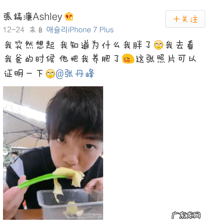 李英爱结过几次婚 李英爱龙凤胎微博