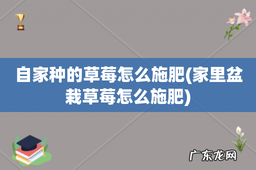 家里盆栽草莓怎么施肥 自家种的草莓怎么施肥