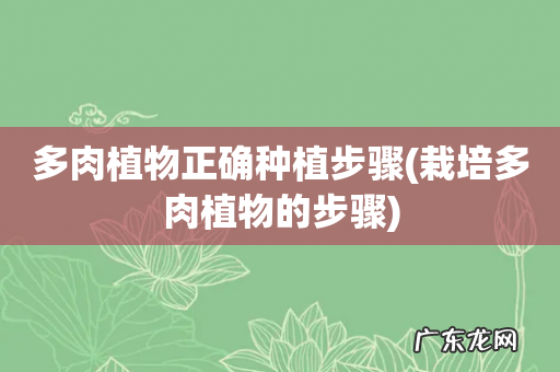 栽培多肉植物的步骤 多肉植物正确种植步骤