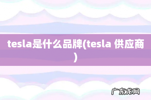 tesla 供应商 tesla是什么品牌