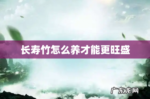 长寿竹怎么养才能更旺盛