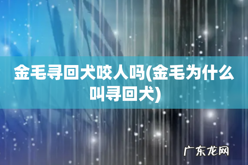 金毛为什么叫寻回犬 金毛寻回犬咬人吗