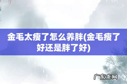 金毛瘦了好还是胖了好 金毛太瘦了怎么养胖