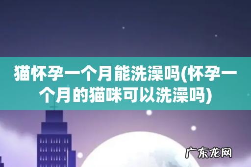 怀孕一个月的猫咪可以洗澡吗 猫怀孕一个月能洗澡吗