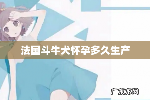 法国斗牛犬怀孕多久生产