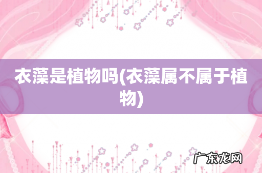 衣藻属不属于植物 衣藻是植物吗
