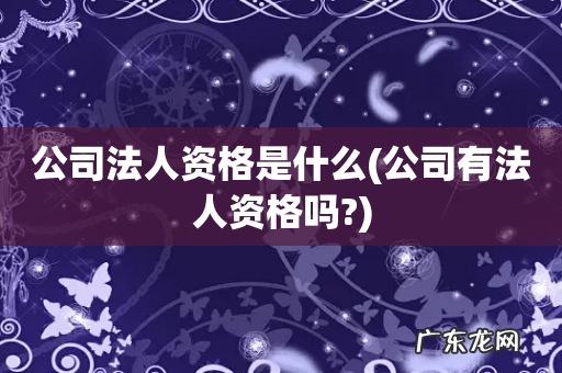 公司有法人资格吗? 公司法人资格是什么