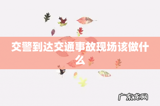 交警到达交通事故现场该做什么