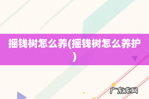 摇钱树怎么养护 摇钱树怎么养