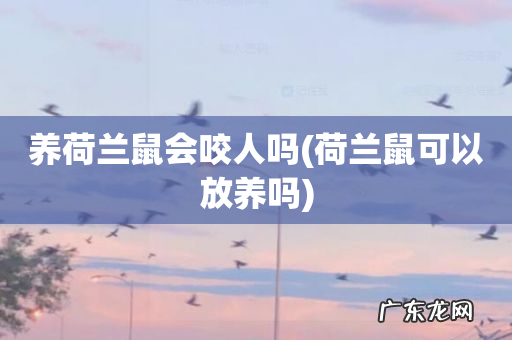 荷兰鼠可以放养吗 养荷兰鼠会咬人吗