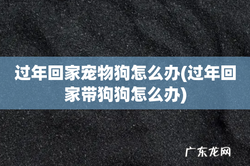 过年回家带狗狗怎么办 过年回家宠物狗怎么办
