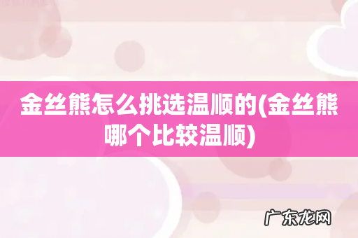 金丝熊哪个比较温顺 金丝熊怎么挑选温顺的