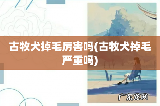 古牧犬掉毛严重吗 古牧犬掉毛厉害吗