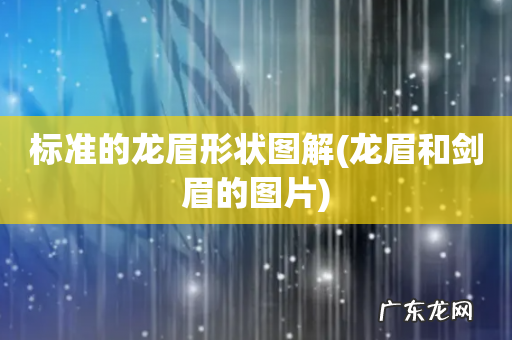 龙眉和剑眉的图片 标准的龙眉形状图解