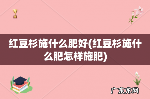 红豆杉施什么肥怎样施肥 红豆杉施什么肥好