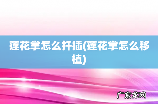 莲花掌怎么移植 莲花掌怎么扦插