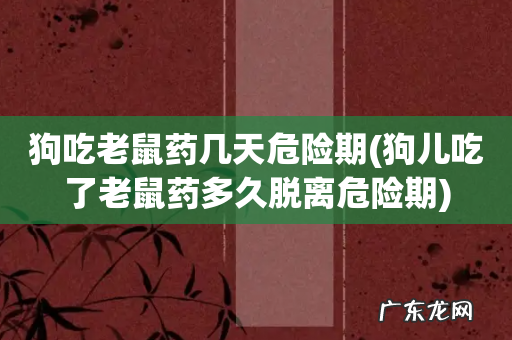 狗儿吃了老鼠药多久脱离危险期 狗吃老鼠药几天危险期