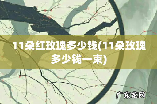 11朵玫瑰多少钱一束 11朵红玫瑰多少钱