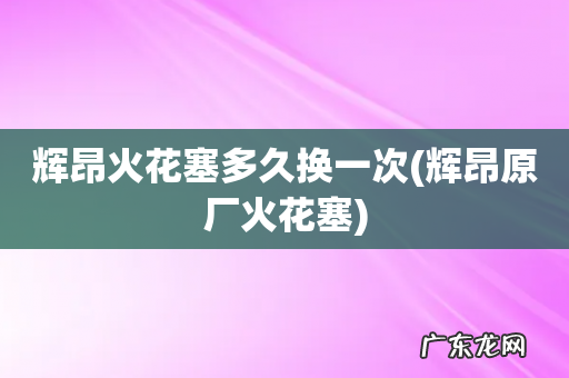 辉昂原厂火花塞 辉昂火花塞多久换一次