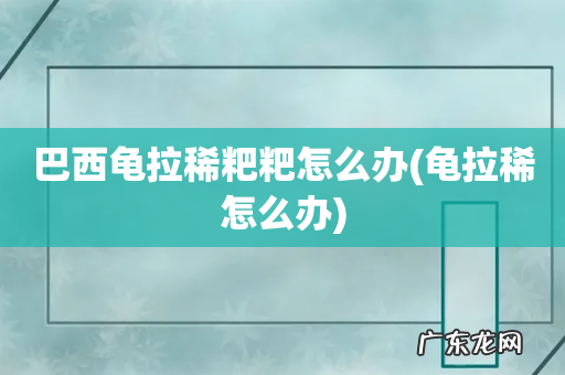 龟拉稀怎么办 巴西龟拉稀粑粑怎么办