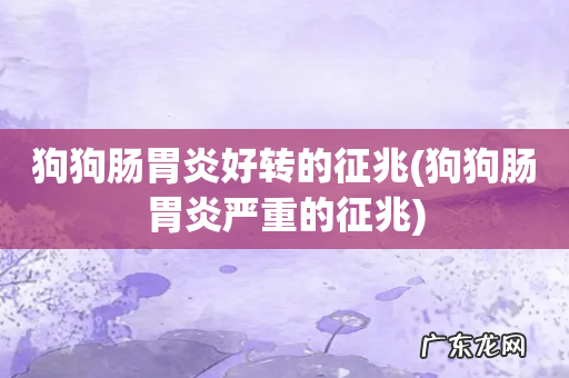 狗狗肠胃炎严重的征兆 狗狗肠胃炎好转的征兆