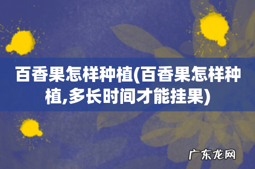 百香果怎样种植,多长时间才能挂果 百香果怎样种植