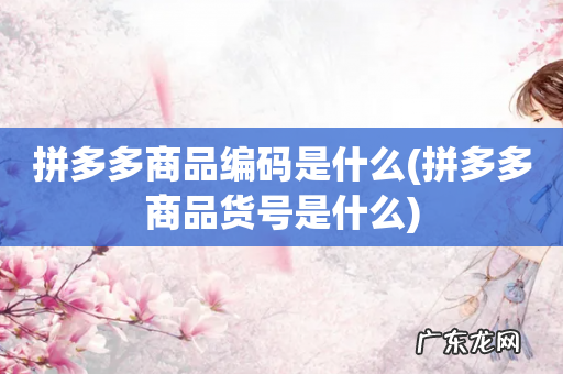 拼多多商品货号是什么 拼多多商品编码是什么