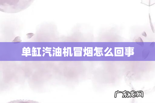 单缸汽油机冒烟怎么回事