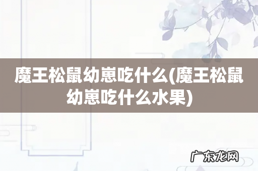 魔王松鼠幼崽吃什么水果 魔王松鼠幼崽吃什么
