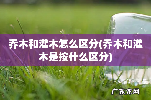 乔木和灌木是按什么区分 乔木和灌木怎么区分