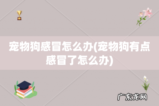 宠物狗有点感冒了怎么办 宠物狗感冒怎么办