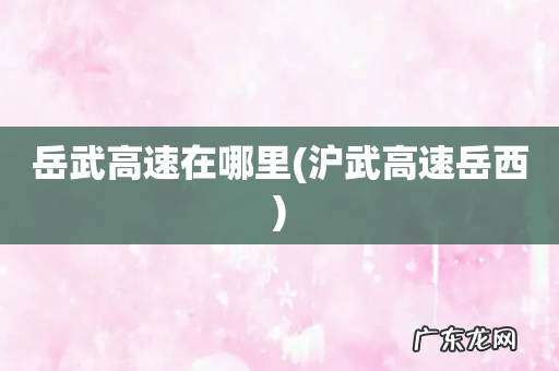 沪武高速岳西 岳武高速在哪里