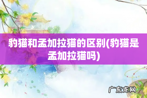 豹猫是孟加拉猫吗 豹猫和孟加拉猫的区别