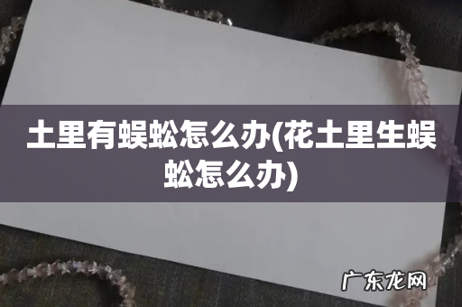 花土里生蜈蚣怎么办 土里有蜈蚣怎么办