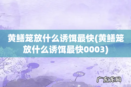 黄鳝笼放什么诱饵最快0003 黄鳝笼放什么诱饵最快