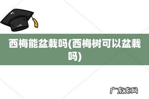 西梅树可以盆栽吗 西梅能盆栽吗