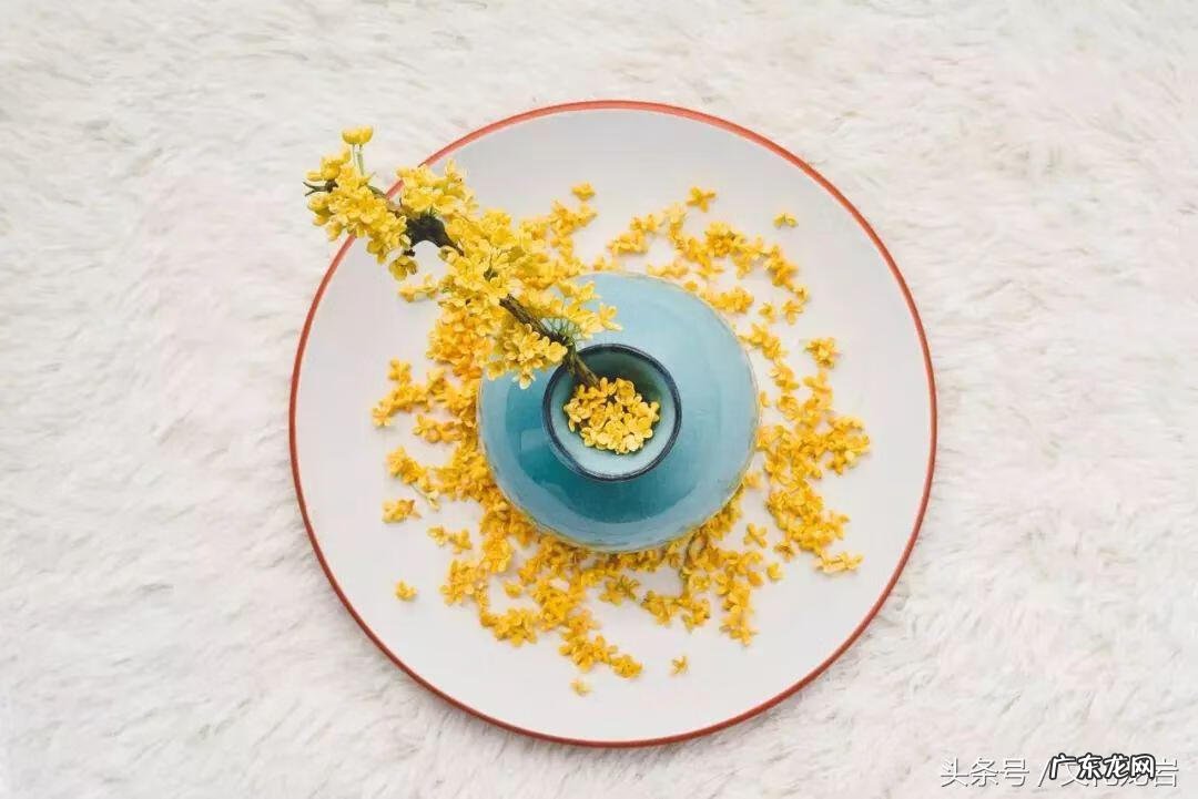 跟桂花有关的诗句 描写桂花诗句