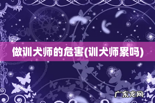 训犬师累吗 做训犬师的危害