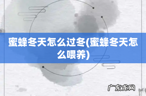 蜜蜂冬天怎么喂养 蜜蜂冬天怎么过冬