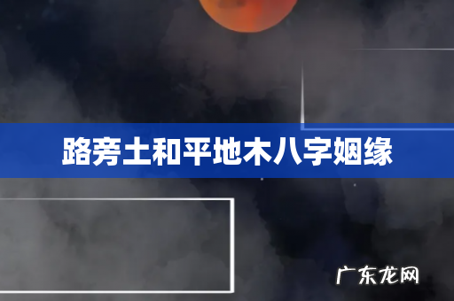 路旁土和平地木八字姻缘