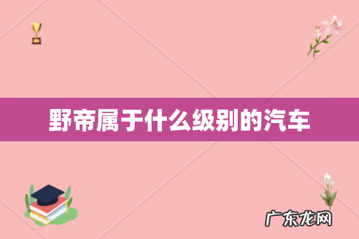 野帝属于什么级别的汽车
