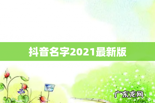 抖音名字2021最新版