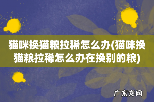 猫咪换猫粮拉稀怎么办在换别的粮 猫咪换猫粮拉稀怎么办
