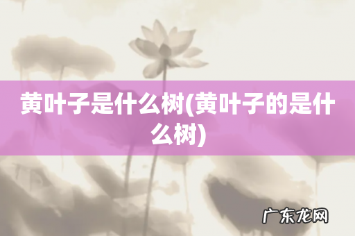 黄叶子的是什么树 黄叶子是什么树