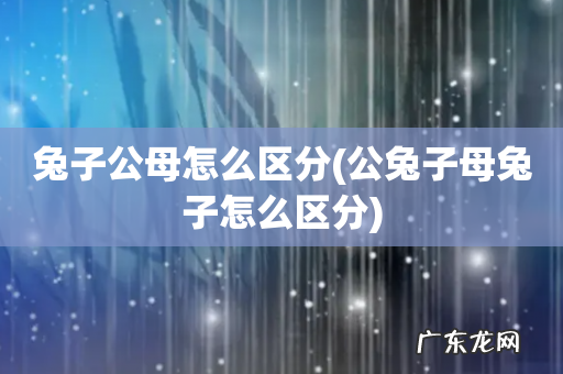 公兔子母兔子怎么区分 兔子公母怎么区分